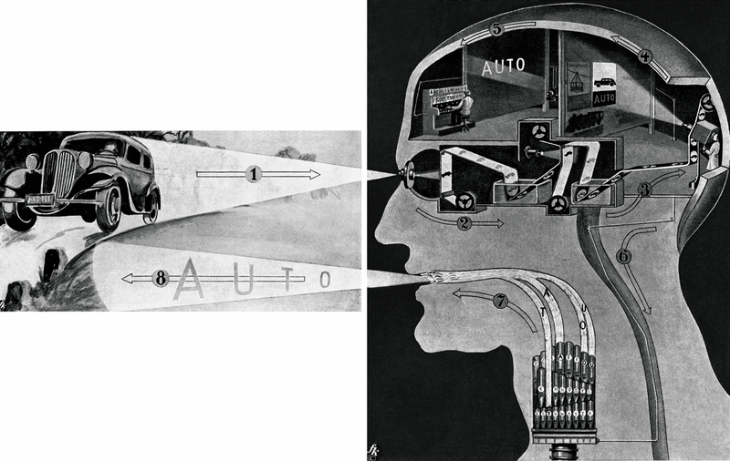 Illustration for article titled The Amazing Anatomical Diagrams of Fritz Kahn, Pioneer of Infographics